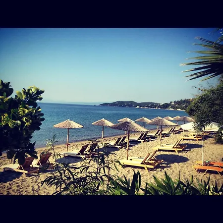 Hotel Angeliki Megali Ammos (Skiathos)