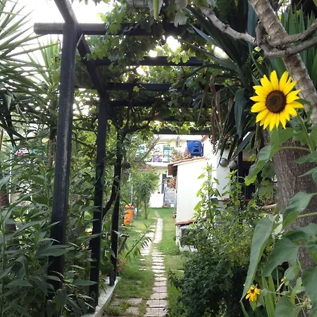 Angeliki 호텔 메갈리 아모스