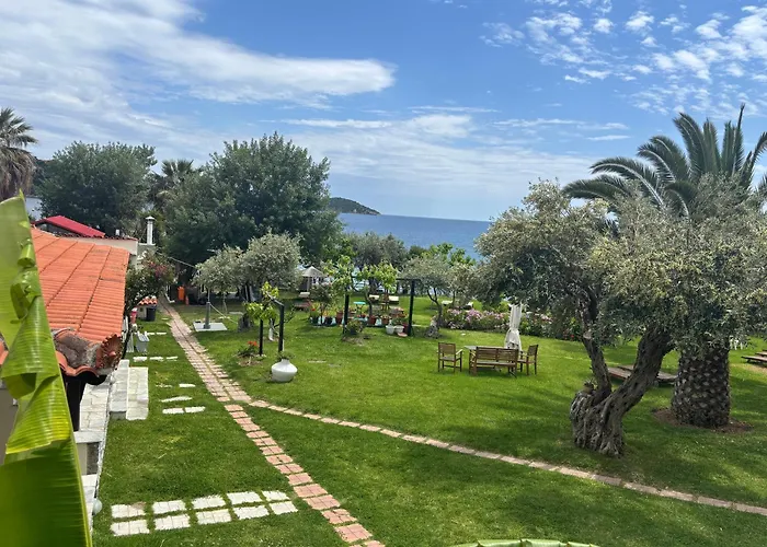 Hotel Angeliki Megali Ammos (Skiathos)